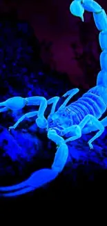 Neon blue glowing scorpion on a dark background wallpaper.