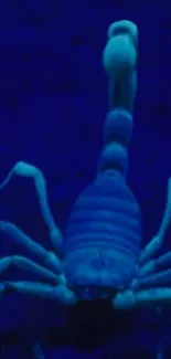 Neon blue scorpion on a dark blue background.