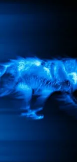 Electric neon blue wolf charging forward on dark background.