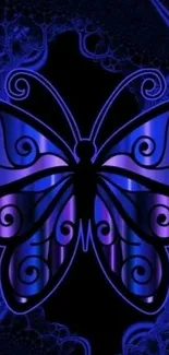 Neon butterfly in blue and purple on dark background.