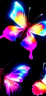 Neon butterflies with vibrant colors on a dark background.