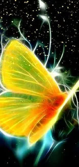 Vibrant neon butterfly on black background mobile wallpaper.