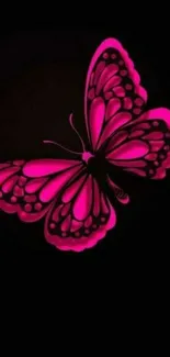 Neon pink butterfly with glowing wings on black background.