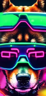 Neon art of a dog wearing vibrant, futuristic glasses.