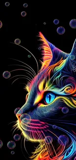 Vibrant neon cat artwork with colorful swirls and bubble details.