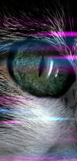 Close-up of a cat's eye with neon purple and blue accents on a wallpaper.