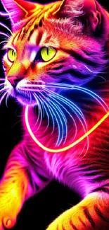 Vibrant neon cat with glowing colors on dark background.