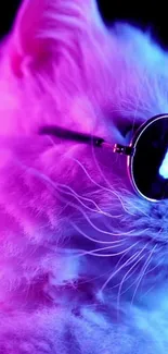 Neon cat wearing sunglasses in vibrant colors.