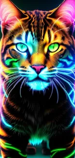 Vibrant neon cat with glowing colors and artistic design.