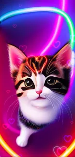 Cute kitten surrounded by vibrant neon lights in a colorful mobile wallpaper.