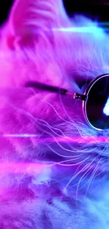 Neon cat wearing sunglasses with pink and blue glow.