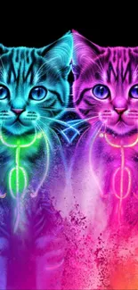 Vibrant neon cats wallpaper with colorful design.