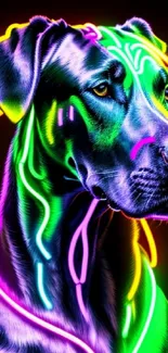 Vibrant neon dog art with colorful highlights on black background.