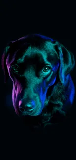 Neon-lit dog portrait on black background.