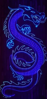 Vibrant neon dragon with electric blue glow on dark background.