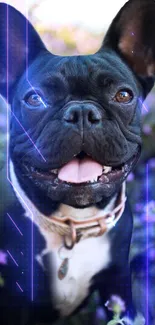 French Bulldog in neon-lit, flowered background wallpaper.