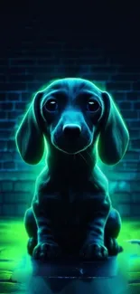 Neon glowing puppy wallpaper with a cute dachshund and vibrant colors.