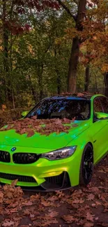 Neon green car covered with autumn leaves on a forest path.