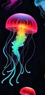 Vibrant neon jellyfish against a dark background, perfect for mobile wallpaper.