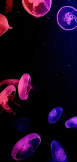 Vibrant neon jellyfish floating in a dark ocean background.