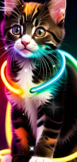 Cute kitten with neon glowing collar on a dark background.