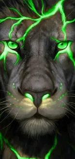 Neon green and black lion face wallpaper with intense eyes.