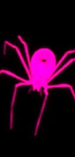 Neon pink spider on a black background