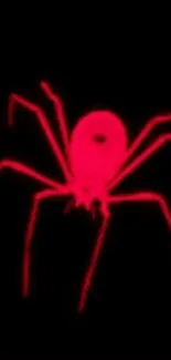 Red neon spider on a black background, illuminating the wallpaper.