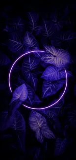 A vibrant neon ring on purple leaves wallpaper.