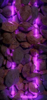 Purple neon glow over stones in mobile wallpaper.