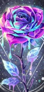 Colorful neon rose with purple and blue hues on a dark background.