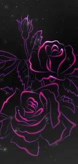 Neon rose floral design on black background.