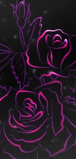 Neon pink roses illustrated on a black background.