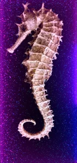 A neon seahorse on a cosmic purple background for mobile wallpaper.