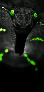 Neon green-eyed snake on dark background, exuding mystery.