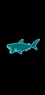 Neon turquoise shark on black background wallpaper.