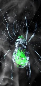 Neon green spider on dark web background, digital art wallpaper.