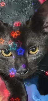 Black cat with neon stars on a vibrant backdrop.