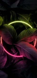 Neon-lit tropical leaves on dark background.