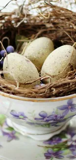 Nest with eggs in a floral teacup on a saucer.