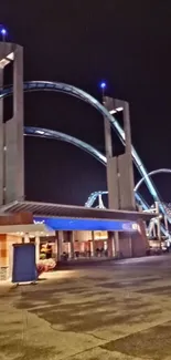 Dynamic night view of roller coaster in amusement park.