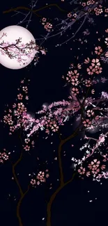 Cherry blossoms and moonlit night wallpaper, serene and dark aesthetic.