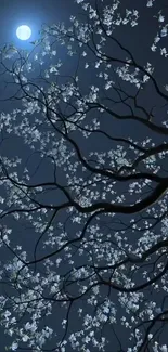 Blossoming tree under full moon night sky.