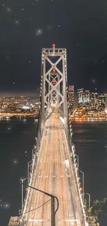 Stunning bridge and city skyline at night