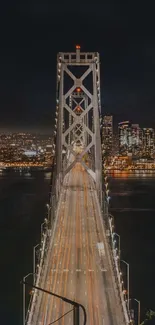 Illuminated bridge leading to a city skyline at night.