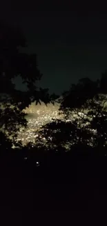 Night cityscape with silhouetted trees and glowing city lights.