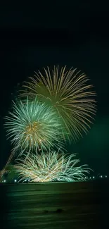Fireworks display illuminating the dark night sky over a calm body of water.