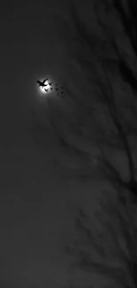 Silhouette of birds flying past the moon at night.