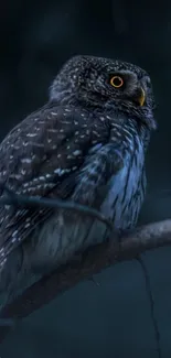 Majestic nocturnal owl perched in a dark forest setting.