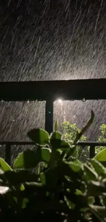 Night rain with green leaves and subtle light background.